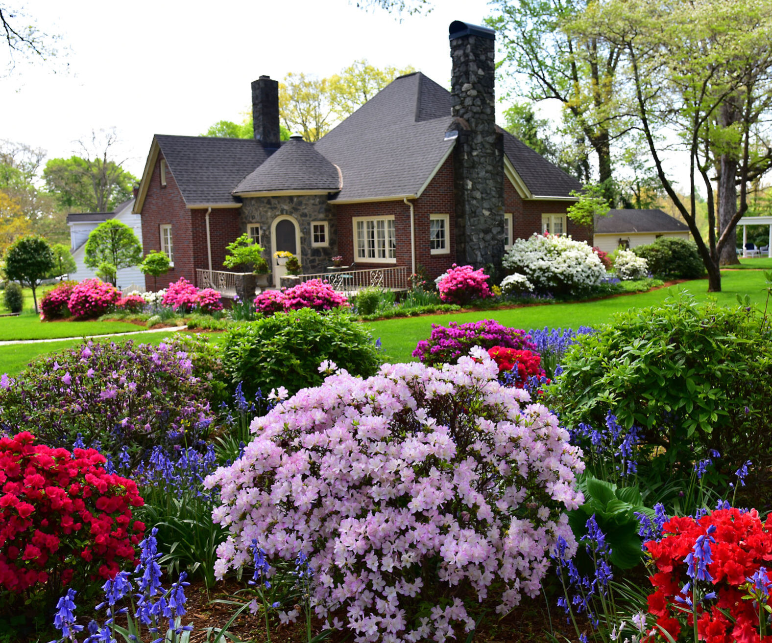 Spring comes home to roost